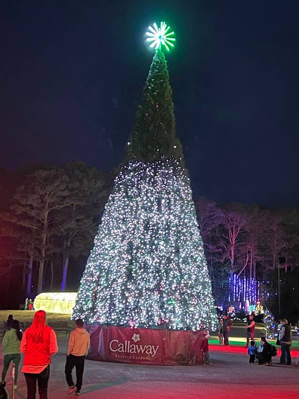 Callaway Fantasy in Lights - Image 2