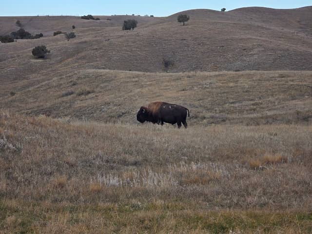 Sage Creek Basin Overlook - Image 3
