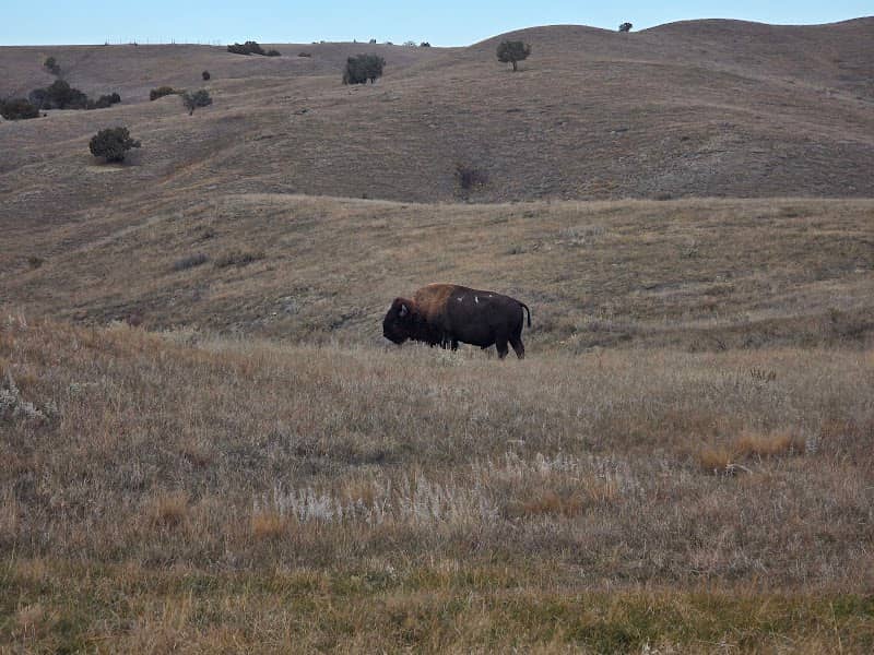 Sage Creek Basin Overlook - Image 3