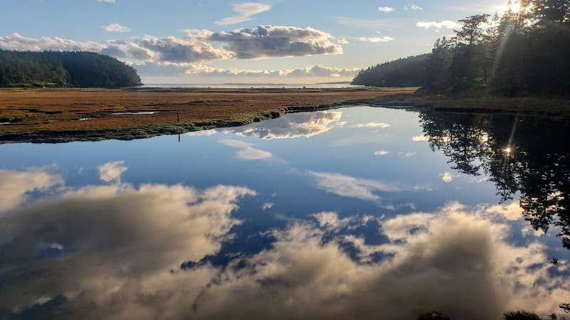 Henry Island Preserve - Image 1