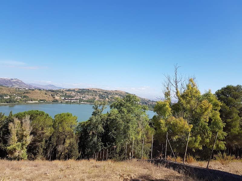 Selva pergusina - Image 1