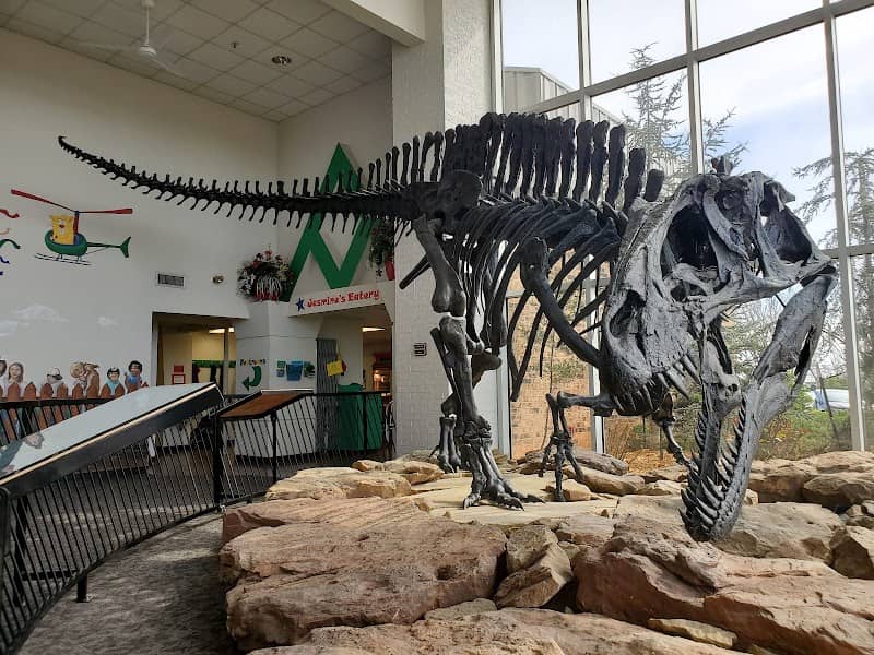 Jasmine Moran Children's Museum - Image 3