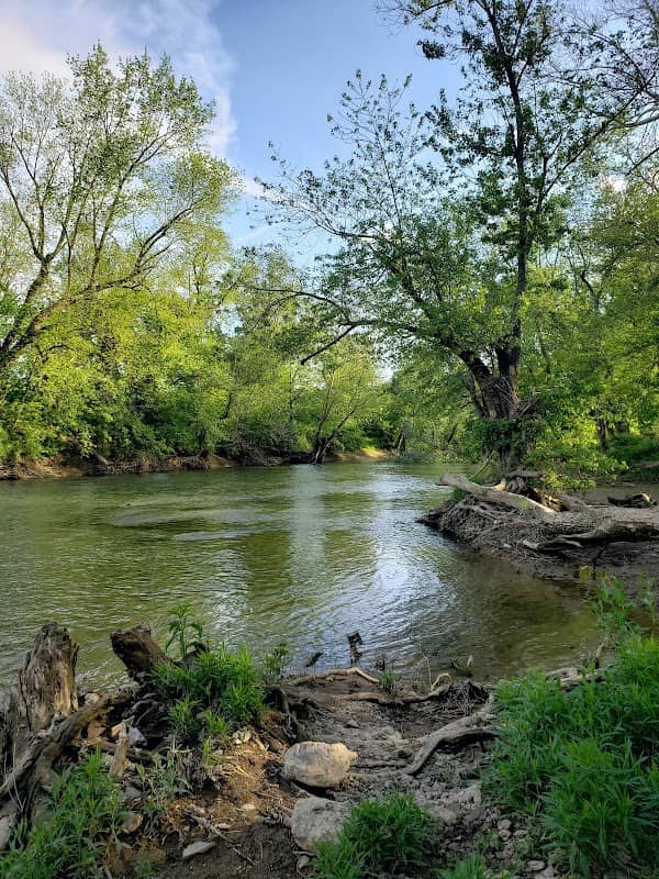 Salt River - Image 2