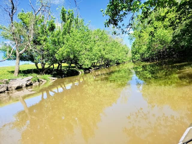 Salt River - Image 1