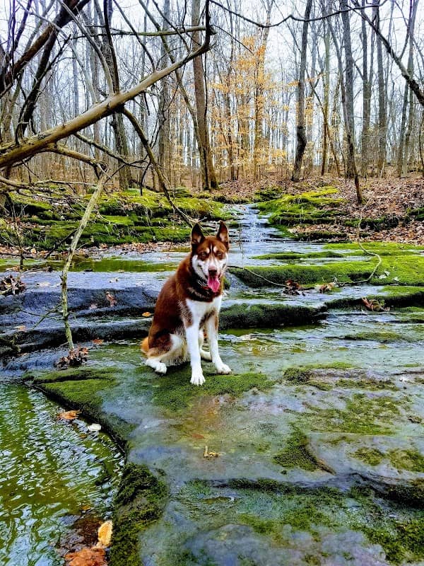 Rtr Trail head - Image 2