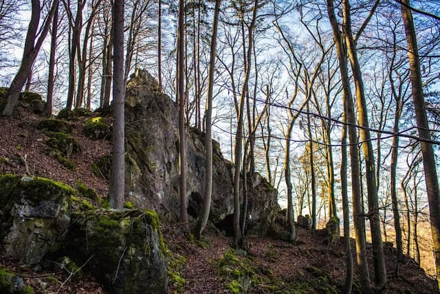 Kleine Höhle am Buchberg - Image 1