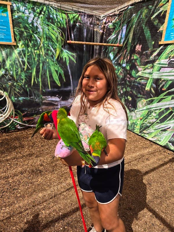 San Diego County Fair Pig race - Image 2