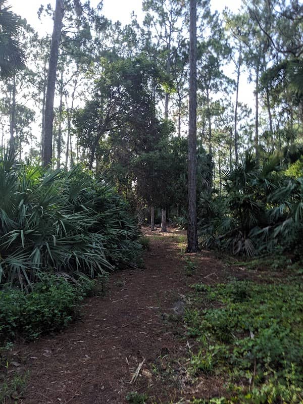 H.L. Johnson Park - Image 2