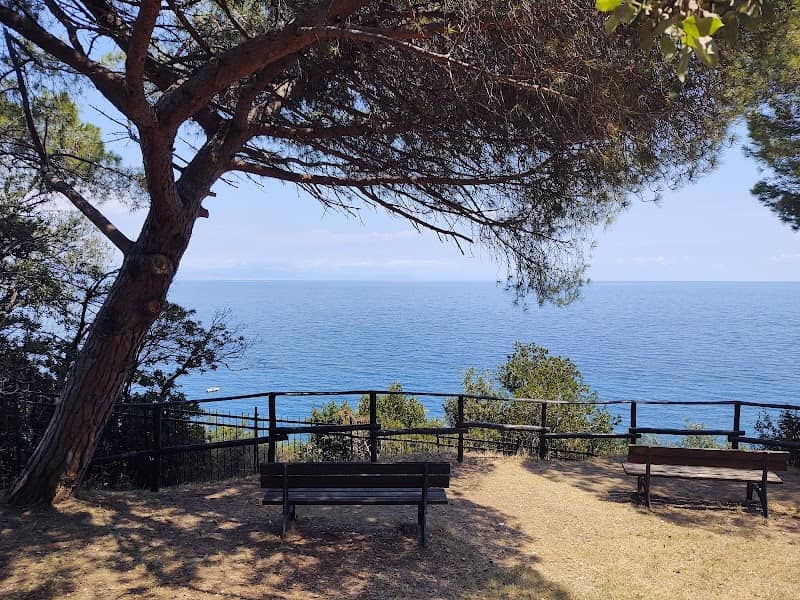 Pineta Bottini - Image 1