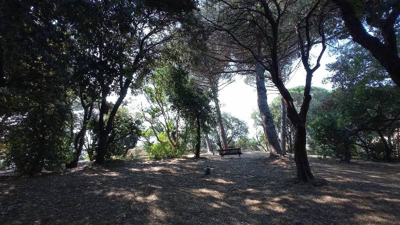 Pineta Bottini - Image 2