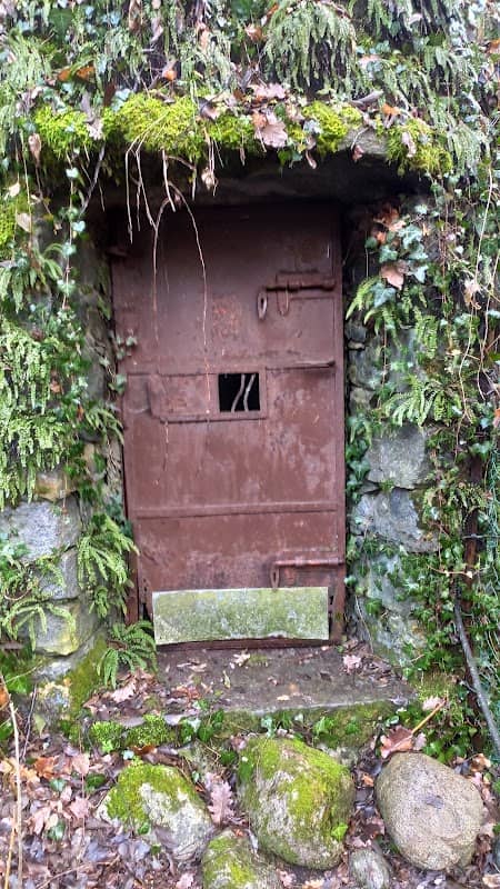 The bear cage BEN - Image 1