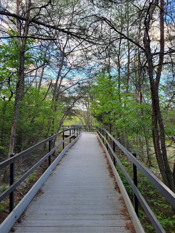 Trailhead for Lilly Bluff Overlook and The Point - Image 3