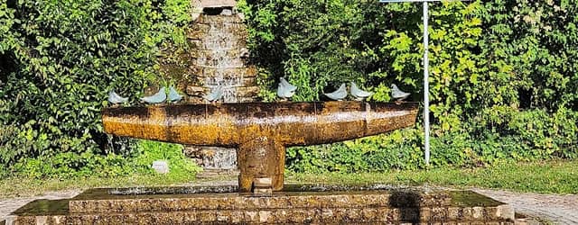 Taubenbrunnen - Image 1