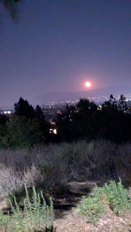 Vista Park - Image 1