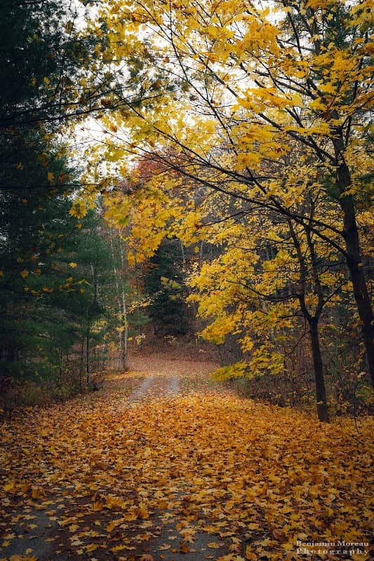 Morono Park Trail - Image 1