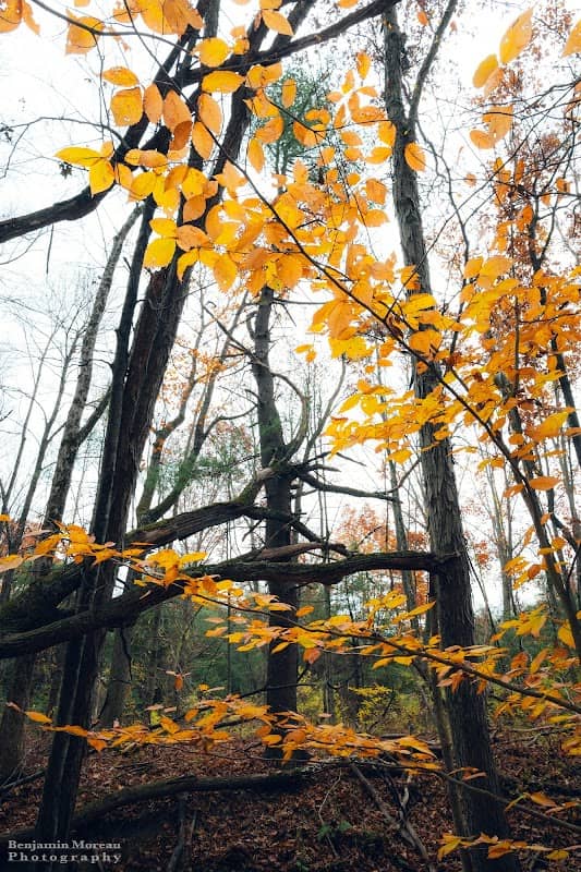 Morono Park Trail - Image 2