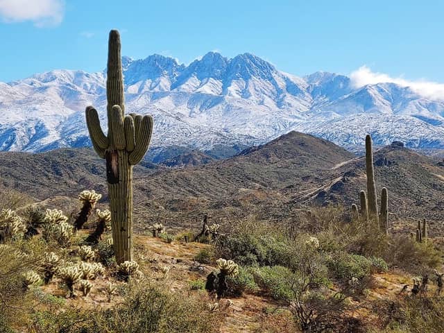 Tonto National Forest - Image 2
