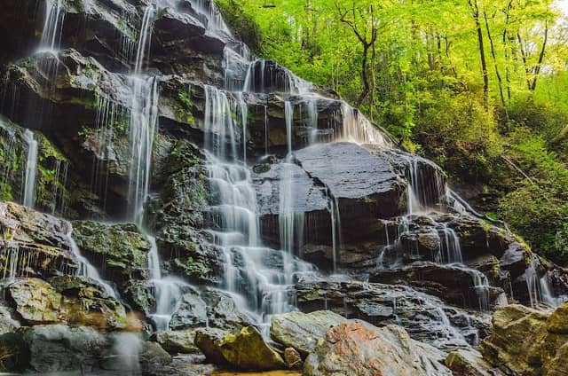 Yellow Branch Falls - Image 1