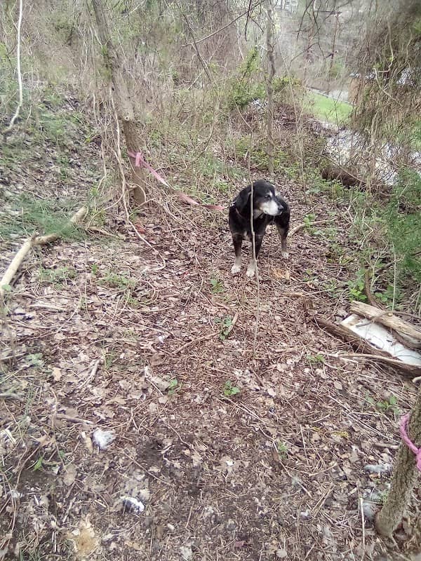 West Virginia Civil War Trails: Attacking Fairmont - Image 1