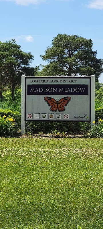Lombard Park District - Madison Meadow - Image 1