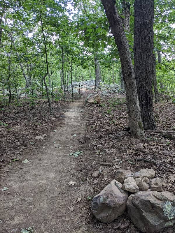 Shepherd Mountain Bike Park and Hiking Trails - Image 2