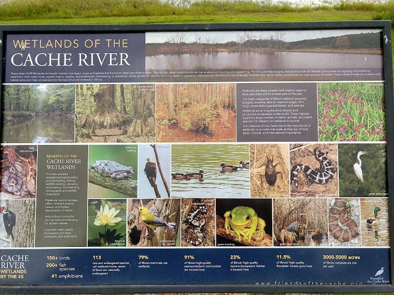 Michael W. Wolff Memorial Wetlands - Image 2