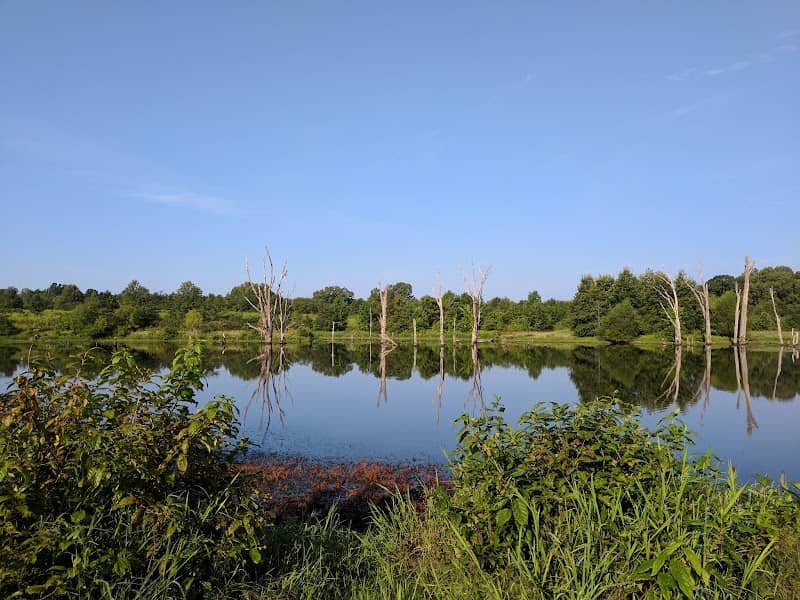 Michael W. Wolff Memorial Wetlands - Image 1