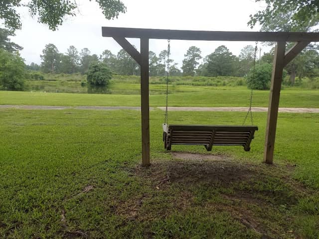 Pine Needle Park - Image 2