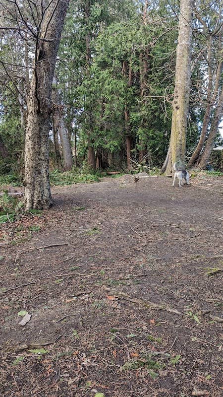 Pebble Hill Park - Image 2