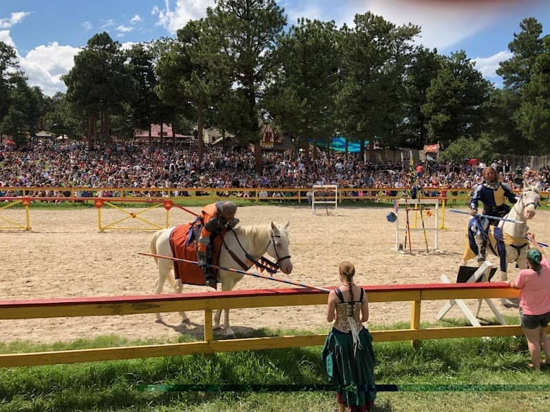 Joust Arena - Image 2
