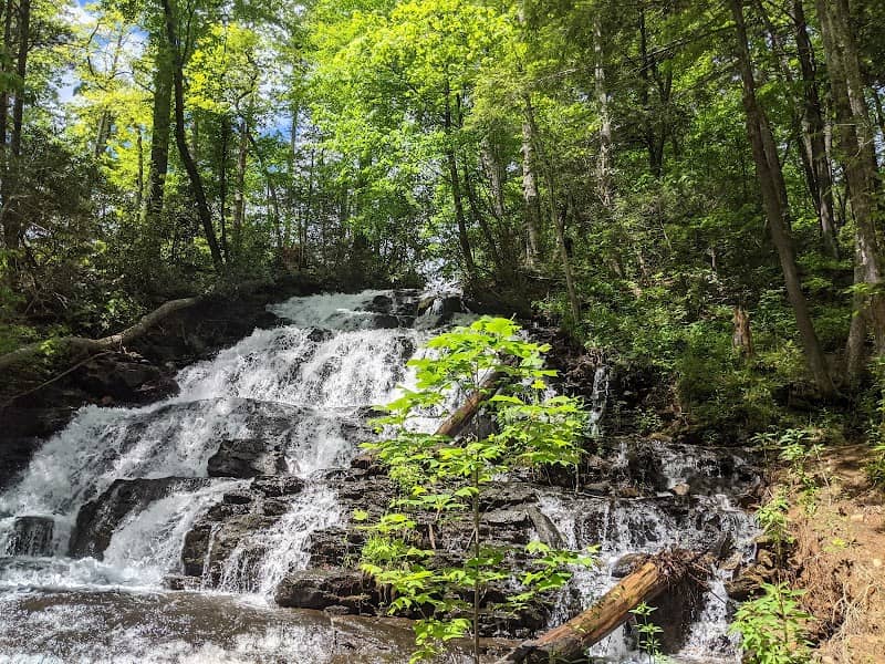 Trahlyta Falls Spur Trail - Image 1