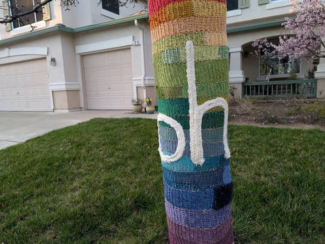 Yarnbombed public art: Oh, the Tree with the Rainbow Sweater - Image 2