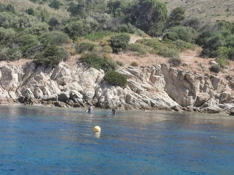 Blue Way - Image 1