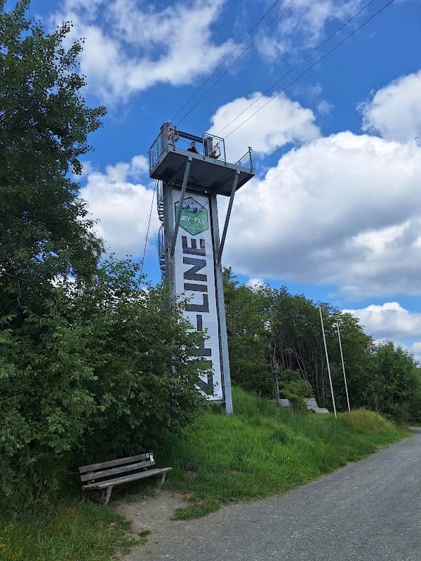 Zip-Line - Image 2