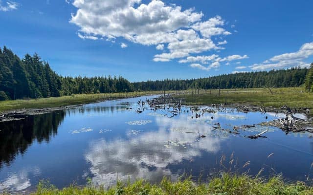 Caribou Plain - UNESCO Fundy Biosphere Reserve Amazing Place - Image 1