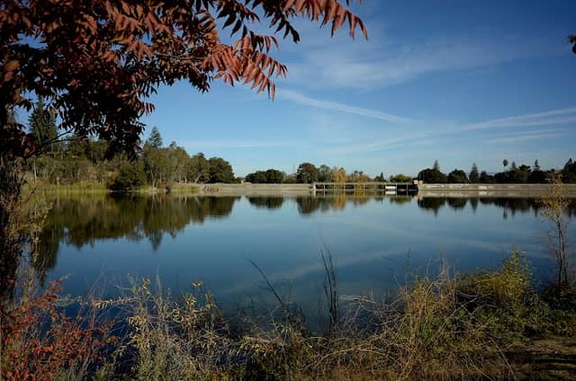 Los Gatos Creek Trail - Image 1