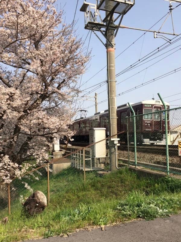 藻川河川敷(阪急神戸線) - Image 1