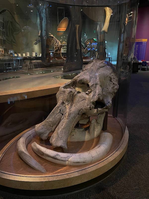 Western Science Center - Image 2