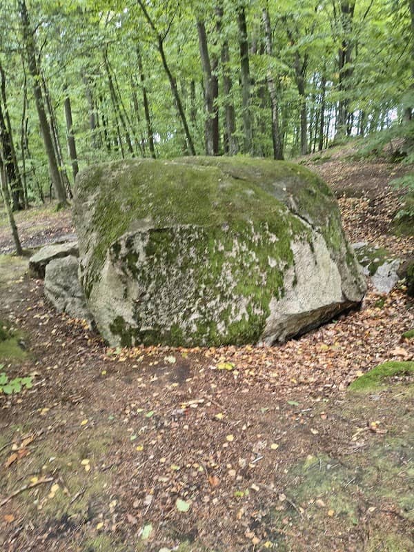 Pęknięty głaz narzutowy - Image 1