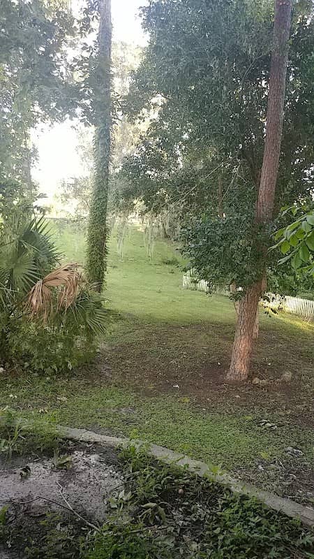 High Springs Sinkhole - Image 1