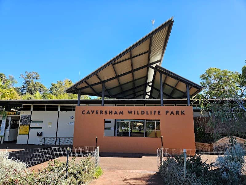 Caversham Wildlife Park - Image 3