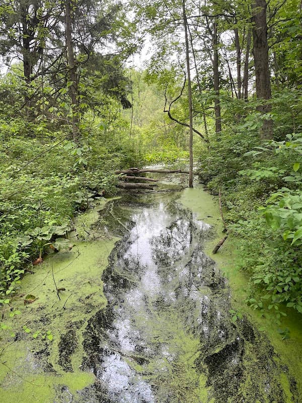 Wilding Plant Preserve - Image 1