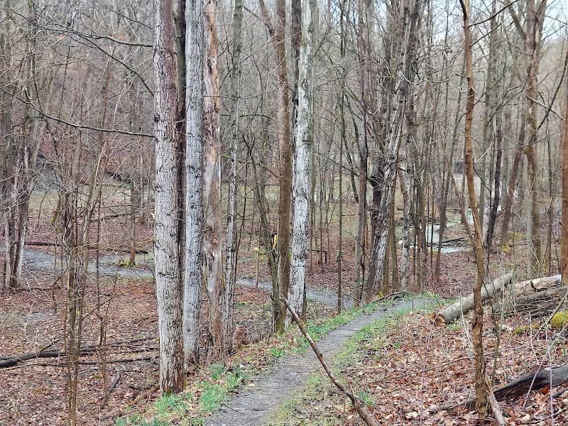 Finger Lakes Trail - Image 1