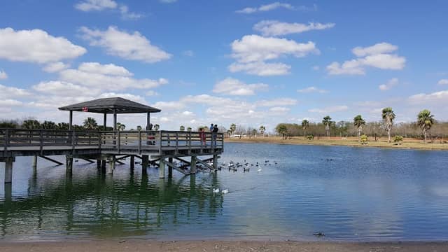 Edinburg Municipal Park - Image 2
