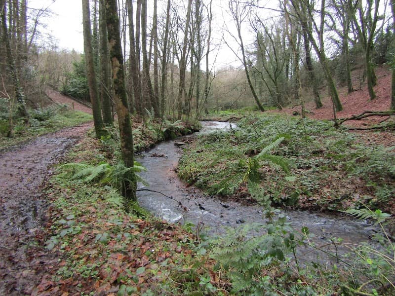 Reubens Glen - Image 1