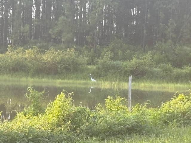 Bike path board walk - Image 1