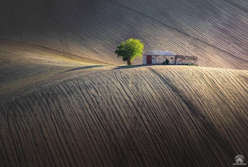 Il Casolare più famoso d'Italia - Image 1