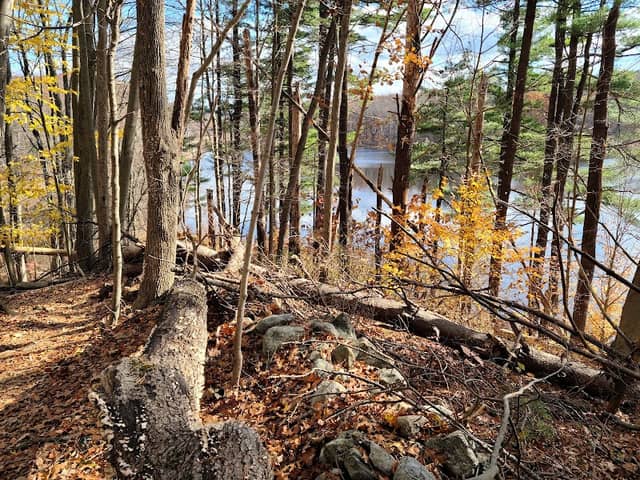 Farrington Woods - Image 5