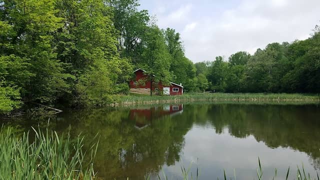 Mary Gray Bird Sanctuary - Image 2