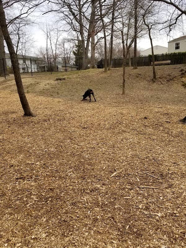 Leo E. Wilson Community Park - Image 2